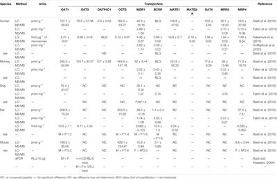 Drug Transporters in the Kidney: Perspectives on Species Differences, Disease Status, and Molecular Docking